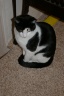 20111225clown.jpg