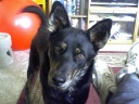 20111230bits.jpg
