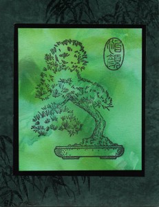 bonsai_tree