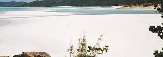 Whitehaven